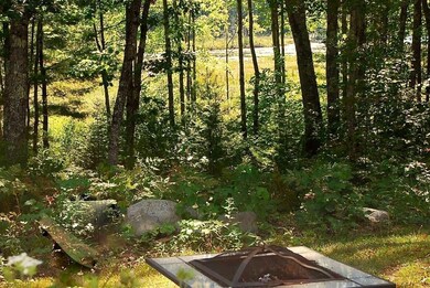 Backyard view and fire pit