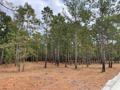 0 Hwy 45 unit 25024847, Cross, SC 29436 - photo 4