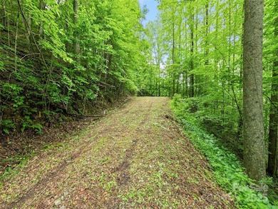 13 Galega Trail unit D, Maggie Valley, NC 28751 - photo 7