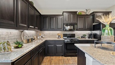 2424 Moon Ranch Dr, Weatherford, TX 76087 - photo 4