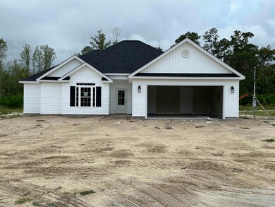 498 Cane Branch Rd unit Lot 4-Tupelo 2, Loris, SC 29569 - photo 2