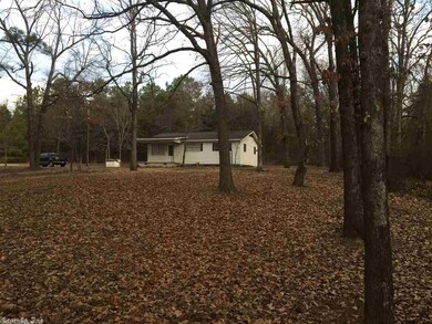 0 Beaverfork Rd, Conway, AR 72032 - photo 2