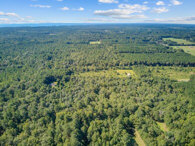 000 Eagle Terrace Trail, Cross, SC 29436 - photo 3