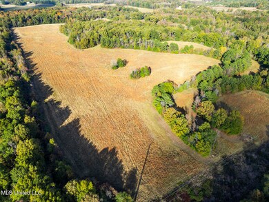 0 Catlett Rd unit 4132090, Madison, MS 39110 - photo 7