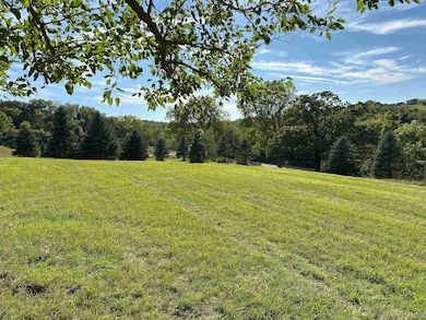 Lot 1 CSM 5621 Hustad Valley Rd, New Glarus, WI 53574 - photo 6