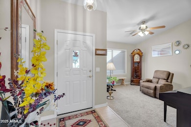 20120 E Palm Beach Dr, Queen Creek, AZ 85142 - photo 4