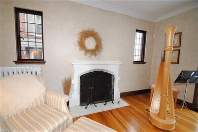 Wood burning fireplace in living room.