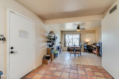 Queen Palm Cir-6