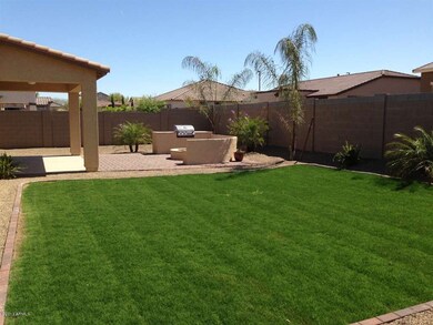 grass backyard