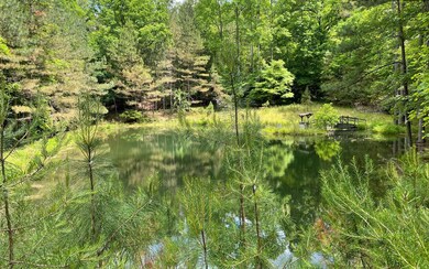 315 Apple Creek Rd, Blue Ridge, GA 30513 - photo 4