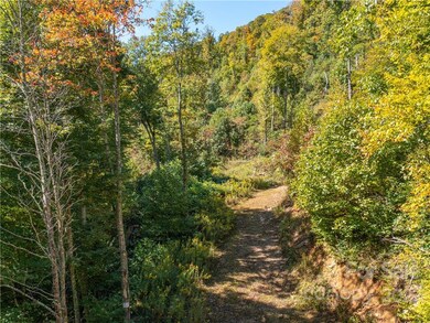 000 Simms Fork Rd, Burnsville, NC 28714 - photo 7