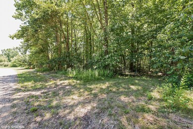 13440 Trillium Ln unit lot 19, New Buffalo, MI 49117 - photo 5