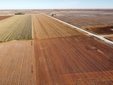 6639 Tiger Rd, Ropesville, TX 79358 - photo 2