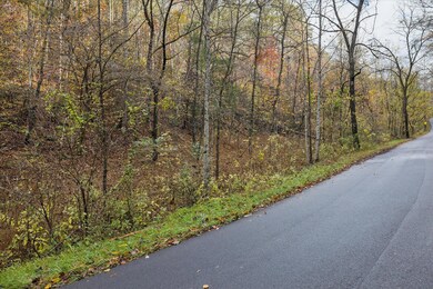 TBD Evans Chapel Rd, Sevierville, TN 37876 - photo 2