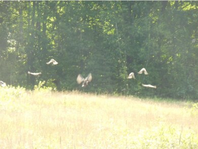 250 Depot St, Rumney, NH 03266 - photo 4