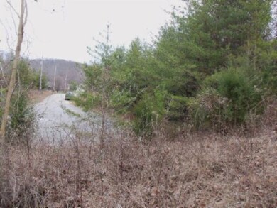 Lot 61 Hidden River Ln, Spencer, TN 38585 - photo 5