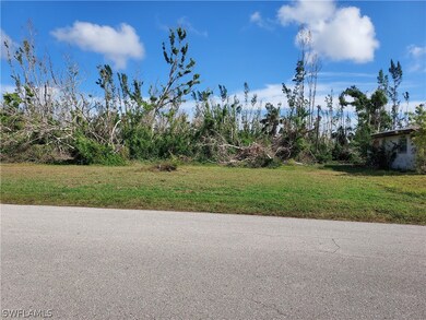 5427 Genesee Pkwy, Pine Island Center, FL 33922 - photo 2