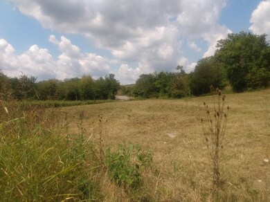 8947 Cornishville Rd, Harrodsburg, KY 40330 - photo 3