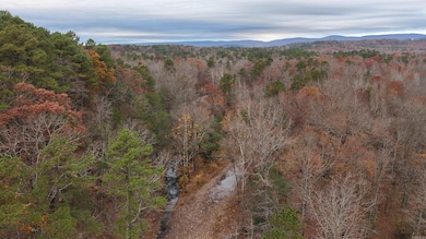 TBD Hallelujah Ln, Mena, AR 71953 - photo 7