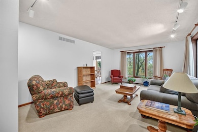 1096 W 124th St S, Colfax, IA 50054 - photo 6