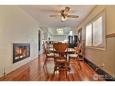Two Sided Gas Fireplace Between Living/Dining Room