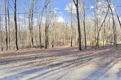 0 Mulberry Rd, Mount Perry, OH 43760 - photo 3