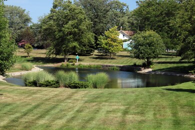 condo back lawn pond