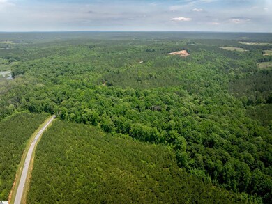 00 Elford Grove Rd unit Tract 1, Jonesville, SC 29353 - photo 2