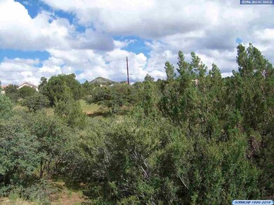 0000 Briarwood Ln, Silver City, NM 88061 - photo 7