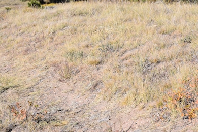 00 Cr 35, Harrisburg, NE 69345 - photo 6