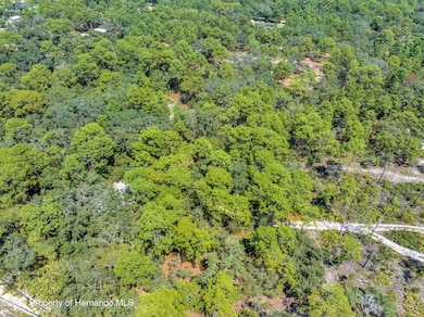 0 Restoration unit 2255435, Weeki Wachee, FL 34613 - photo 7