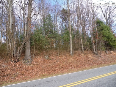 TBD Tedder Rd, Sparta, NC 28675 - photo 2