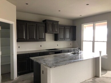 139 Prairie Trail unit 4862, Rhome, TX 76078 - photo 4