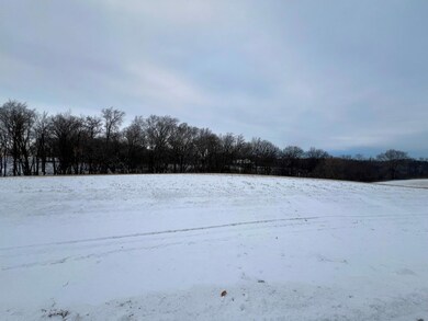 27055 River View Ct, Red Wing, MN 55066 - photo 4