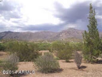 old photo taken from front yard