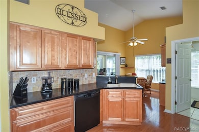 729 E Dakota Ct, Hernando, FL 34442 - photo 2