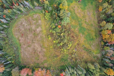 335 Calais Rd, Worcester, VT 05682 - photo 5