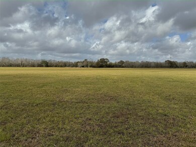 00 Rymal Ranch Rd, Algoa, TX 77511 - photo 4