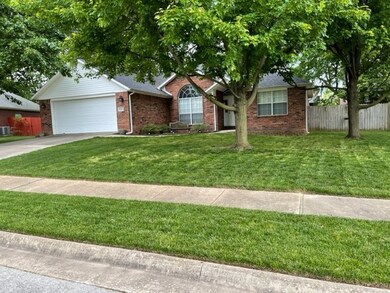 Beautiful Mature Trees