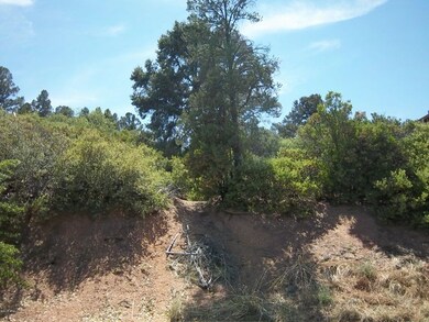 717 W Forest Dr unit 463, Payson, AZ 85541 - photo 2