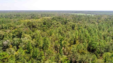 0 Wakulla Springs Hwy, Crawfordville, FL 32327 - photo 3