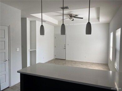 3603 Paola St unit 3, Edinburg, TX 78541 - photo 5