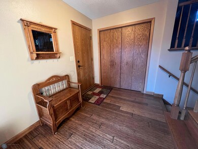 Huge closet in entry