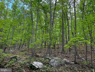 0 Dumpling Run Rd unit WVHD102062, Moorefield, WV 26836 - photo 3