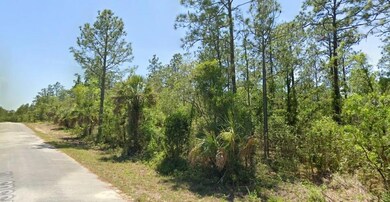 TBD Narcissus Rd, Dunnellon, FL 34431 - photo 7