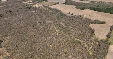 0 State Road 93 unit 1589356, Eleva, WI 54738 - photo 7