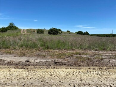 1043 Kingsley Ct, Weatherford, TX 76087 - photo 5