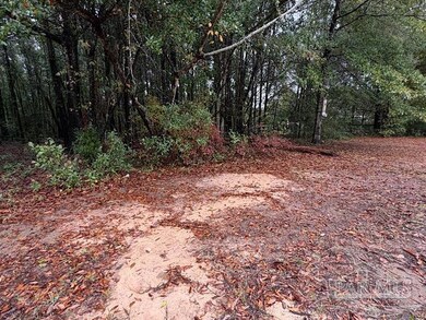 3218 Archies Way, Milton, FL 32571 - photo 4