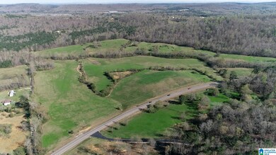 0 Highway 174 unit 21427180, Springville, AL 35146 - photo 7