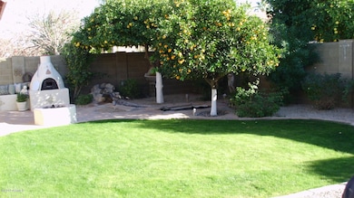 Back yard